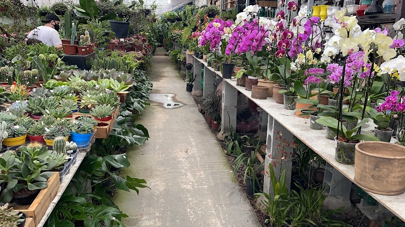 FLORICULTURA TUTOIA COROAS - ATENDEMOS TODO BRASIL — Decoração em São Paulo