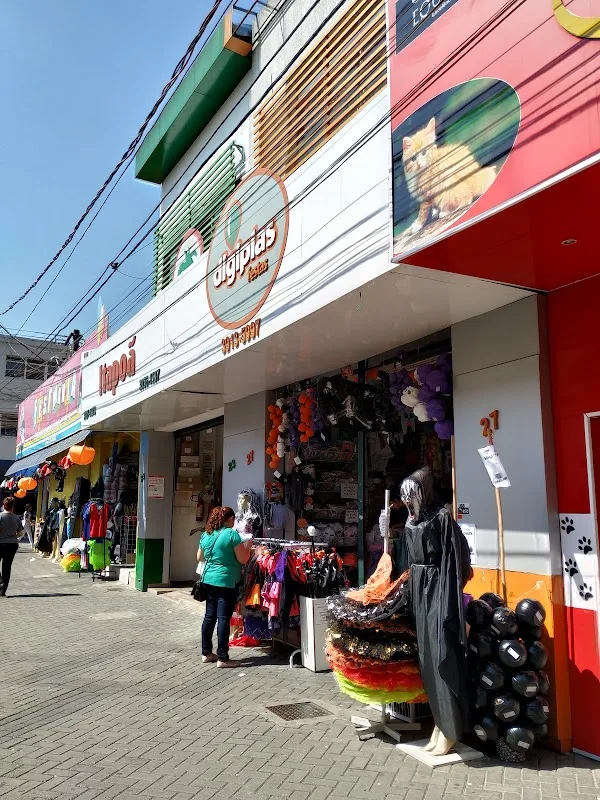 Digiplas Festas — Outros em São José dos Campos