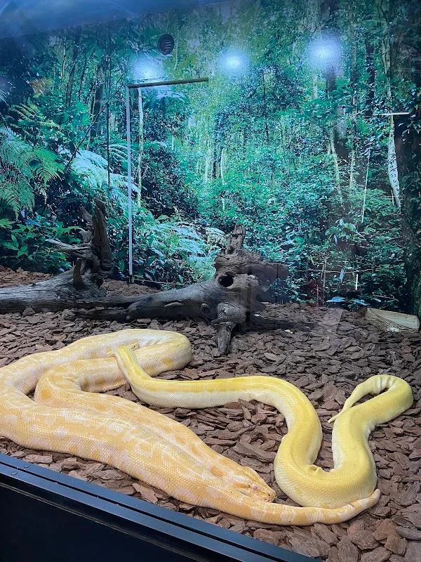 Animais Incríveis Campos do Jordão — Outros em Campos do Jordão