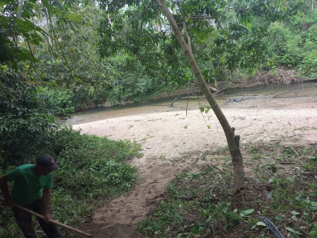 Chácara em memória de Miriã — Sítio em Caraguatatuba