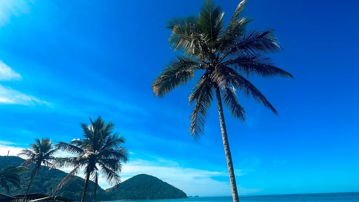 Temporada Ubatuba - Casas e Apartamentos para Aluguel — Sítio em Ubatuba
