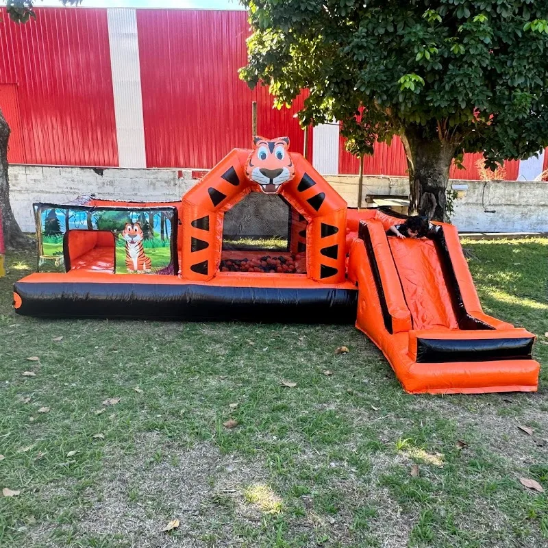 Anima festa locações de brinquedos — Outros em São Sebastião